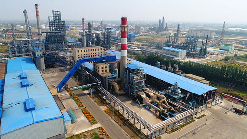 石油化工業(yè)務(wù)板塊 能源轉(zhuǎn)型時代的基石與引擎